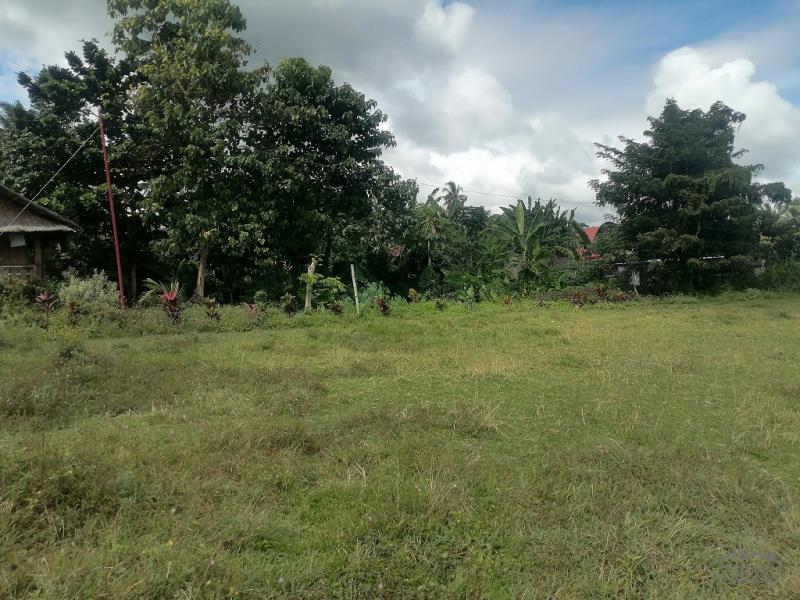 Residential Lot for sale in Valencia in Philippines - image