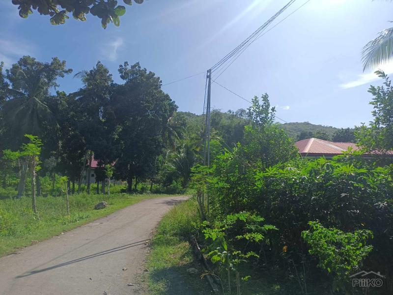 Commercial Lot for sale in Siquijor - image 15