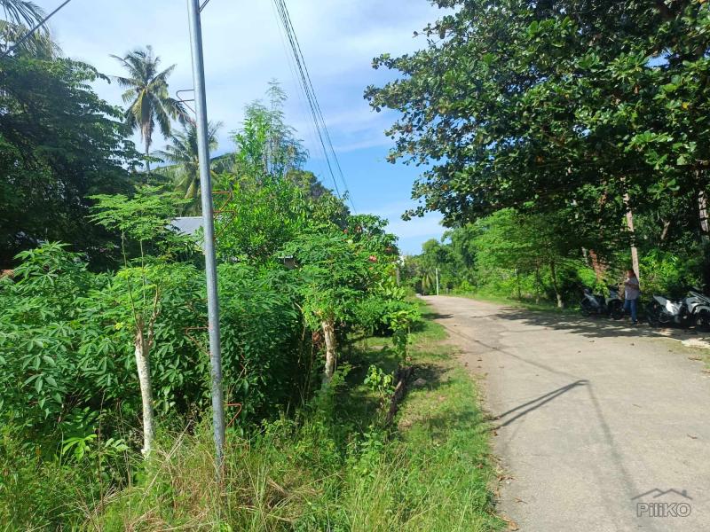 Picture of Commercial Lot for sale in Siquijor in Siquijor