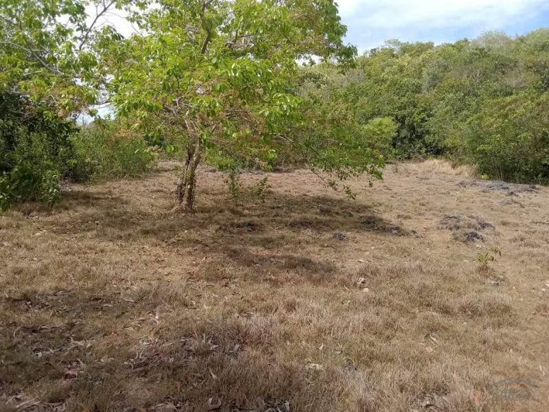 Commercial Lot for sale in San Juan - image 2