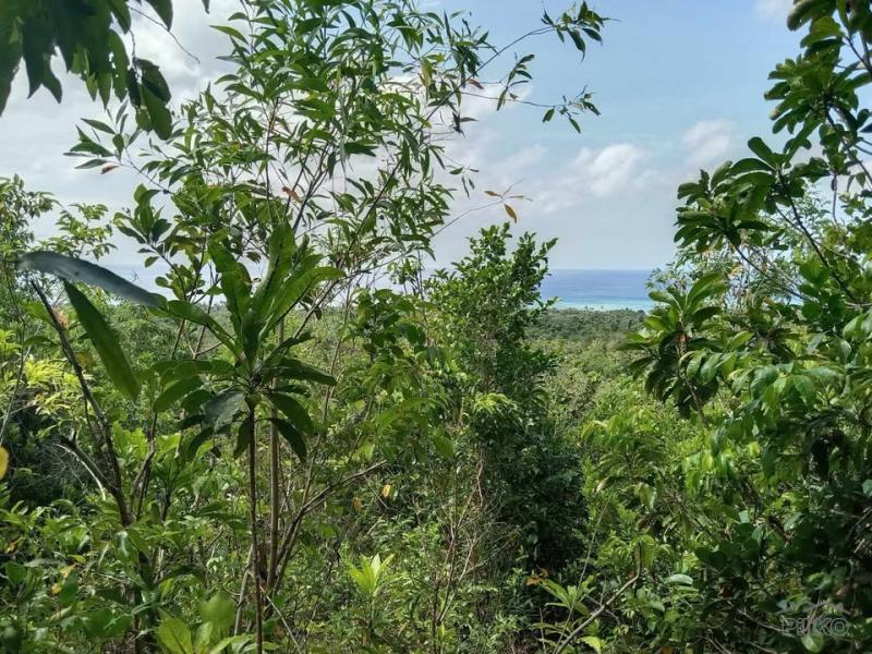 Commercial Lot for sale in San Juan - image 3