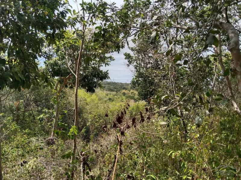 Commercial Lot for sale in San Juan - image 4