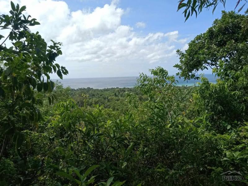 Commercial Lot for sale in San Juan - image 5