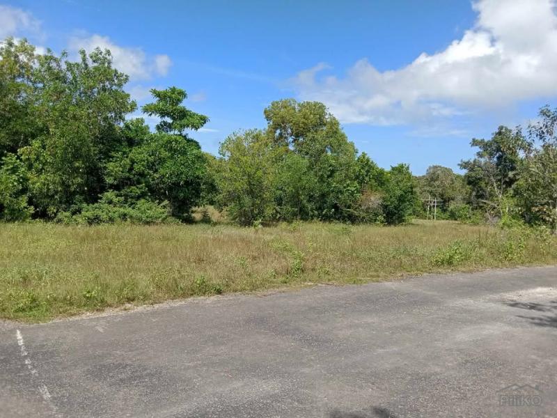 Commercial Lot for sale in San Juan - image 6
