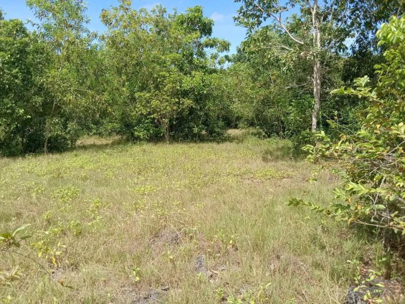 Commercial Lot for sale in San Juan - image 7