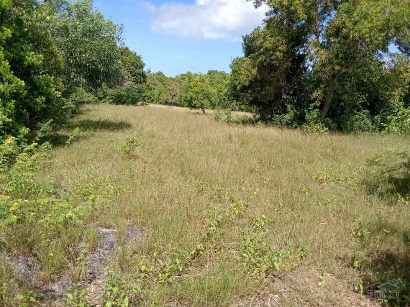 Commercial Lot for sale in San Juan - image 9