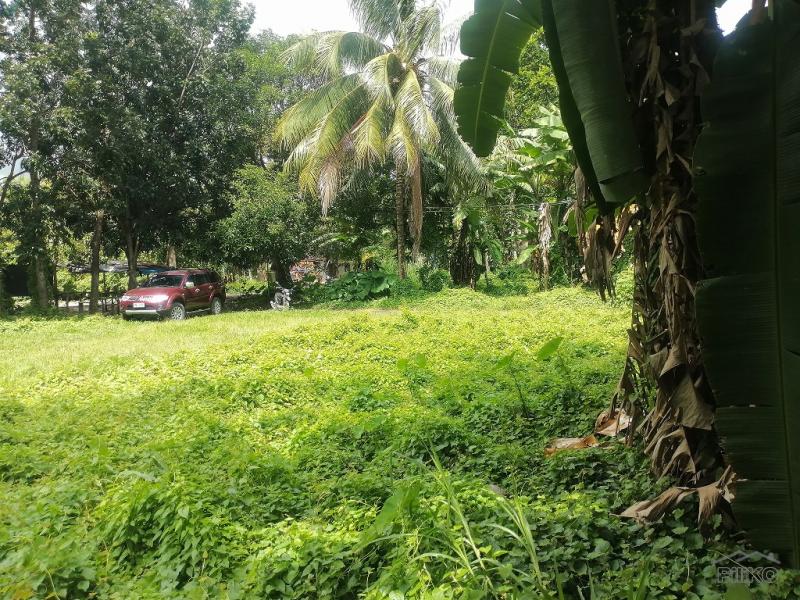 Residential Lot for sale in Dumaguete - image 10