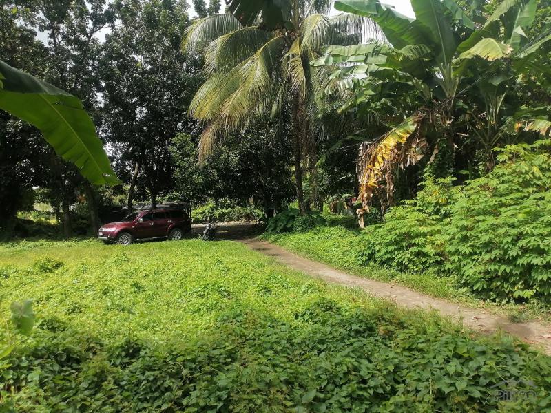 Residential Lot for sale in Dumaguete - image 11