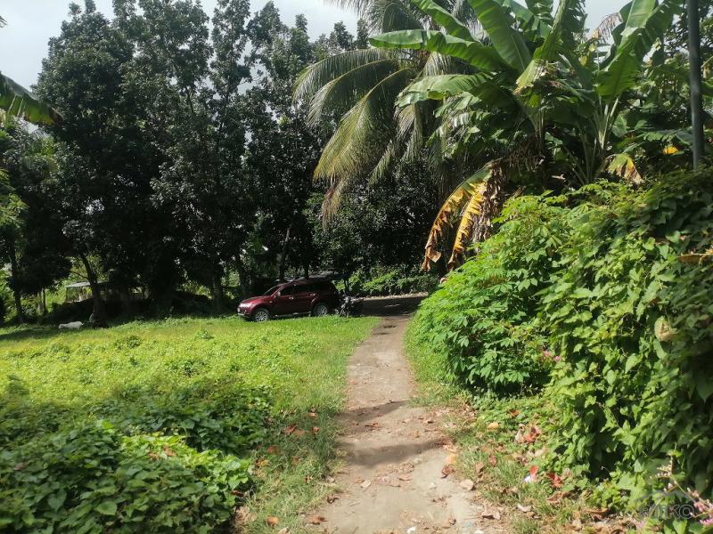Residential Lot for sale in Dumaguete - image 12