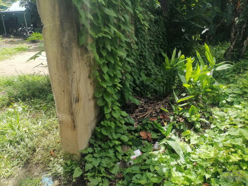 Residential Lot for sale in Dumaguete - image 13