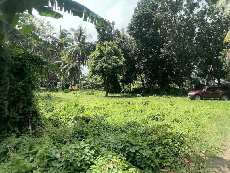 Residential Lot for sale in Dumaguete - image 14