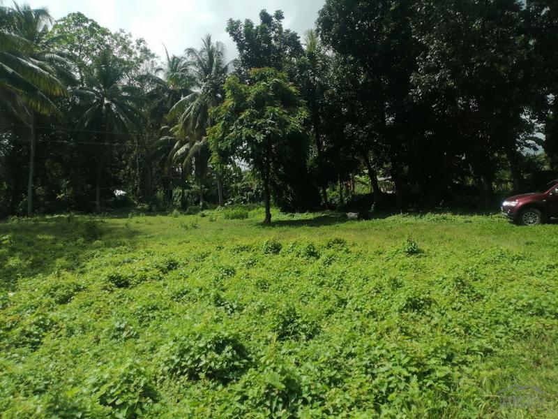 Residential Lot for sale in Dumaguete - image 15