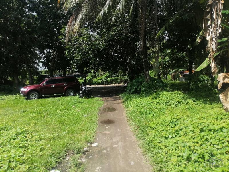 Residential Lot for sale in Dumaguete - image 18