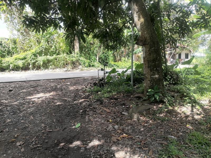 Residential Lot for sale in Dumaguete - image 19