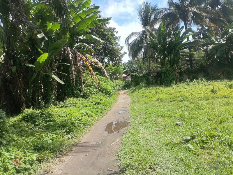 Residential Lot for sale in Dumaguete - image 20