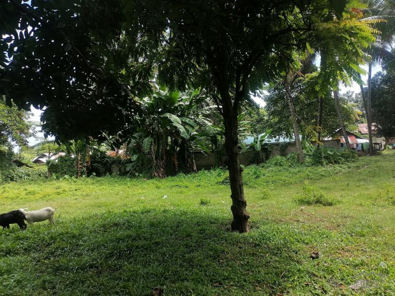 Residential Lot for sale in Dumaguete in Negros Oriental