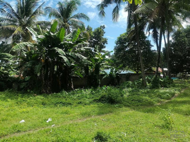 Picture of Residential Lot for sale in Dumaguete in Negros Oriental