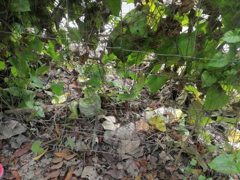 Picture of Residential Lot for sale in Dumaguete in Philippines