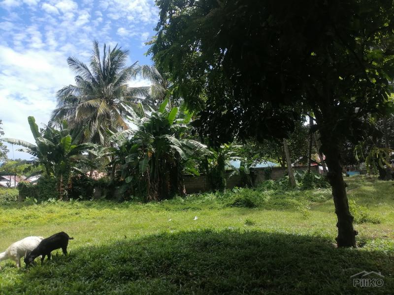 Residential Lot for sale in Dumaguete in Negros Oriental - image