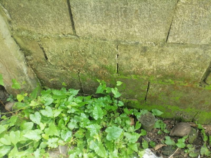 Residential Lot for sale in Dumaguete in Philippines - image