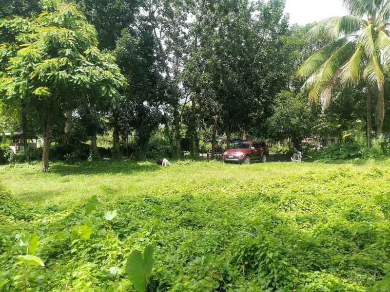 Residential Lot for sale in Dumaguete - image 9