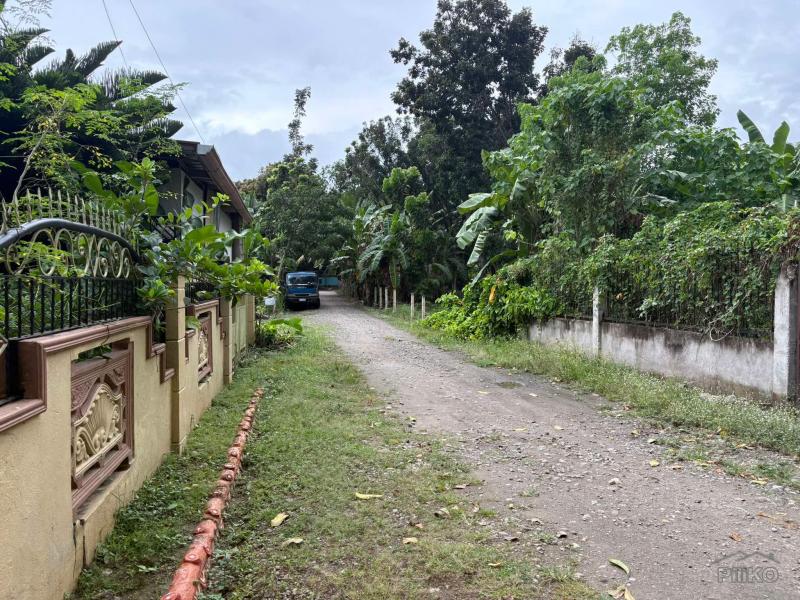 3 bedroom House and Lot for sale in Sibulan - image 24