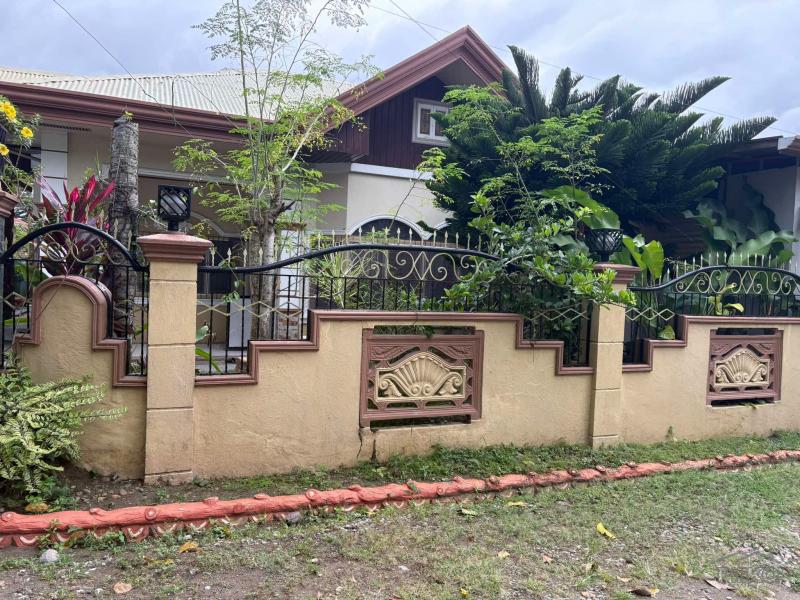 Picture of 3 bedroom House and Lot for sale in Sibulan in Negros Oriental