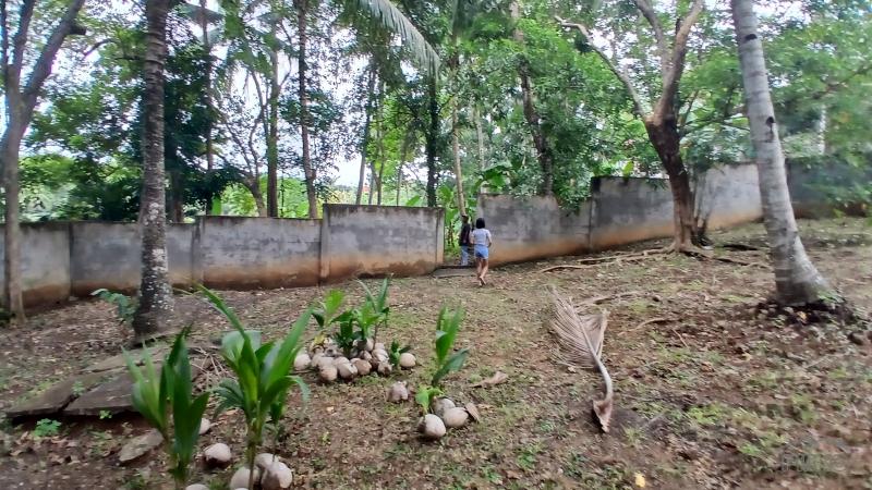 2 bedroom House and Lot for sale in Lazi - image 4