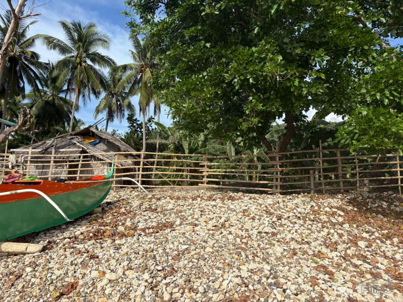Commercial Lot for sale in Basay - image 10