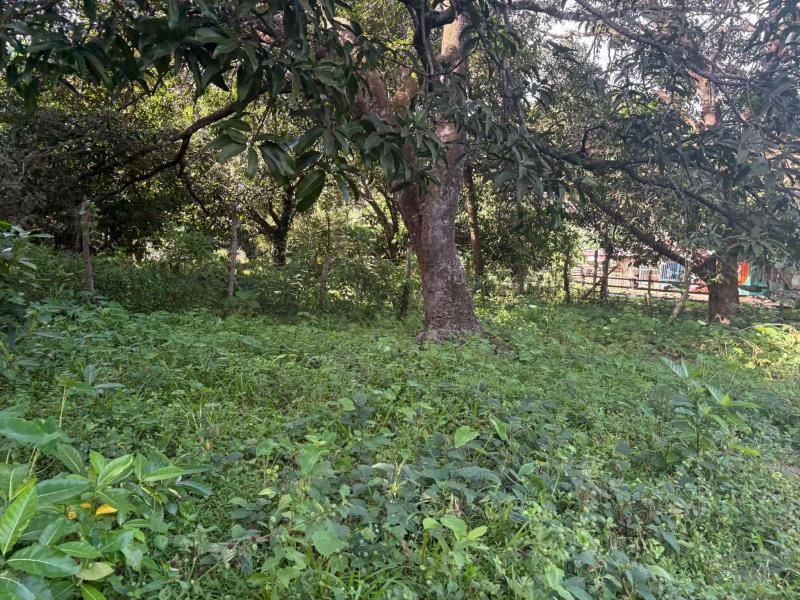 Commercial Lot for sale in Basay - image 12