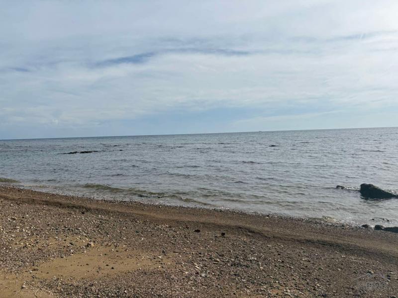 Commercial Lot for sale in Basay - image 15