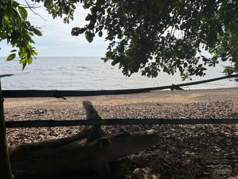 Commercial Lot for sale in Basay - image 16