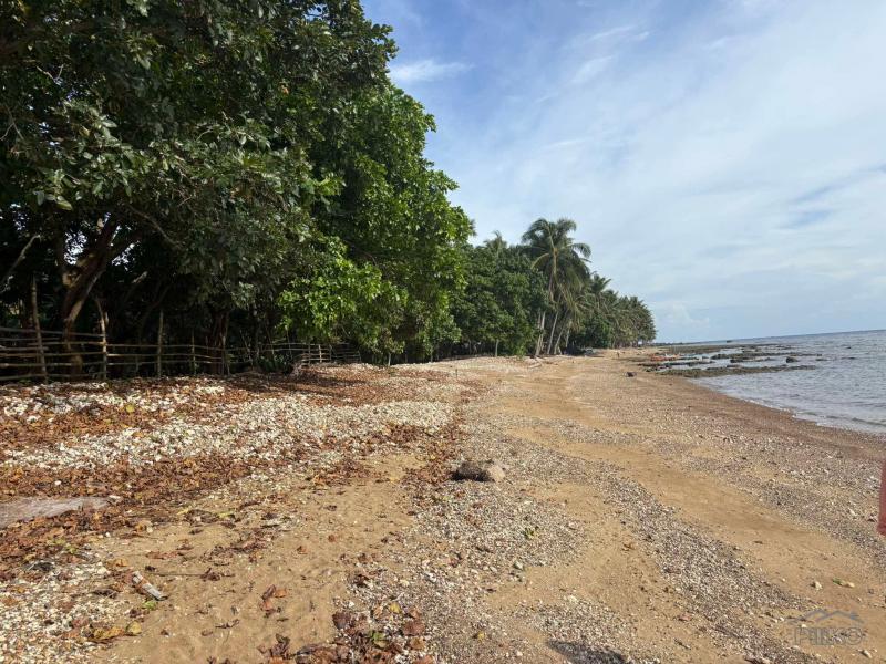 Commercial Lot for sale in Basay - image 18