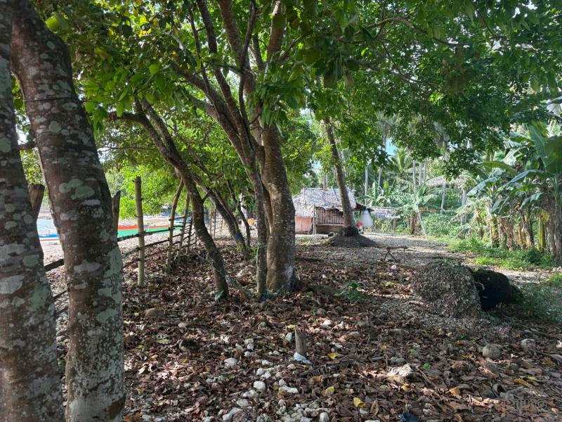 Commercial Lot for sale in Basay - image 19
