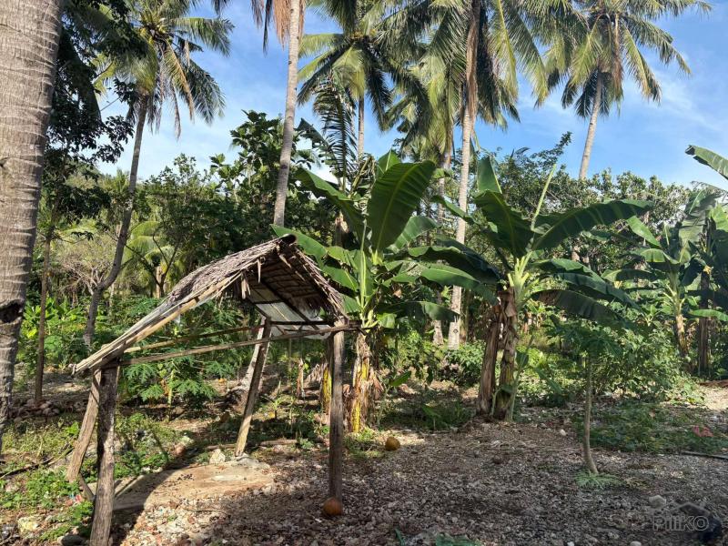 Commercial Lot for sale in Basay - image 21