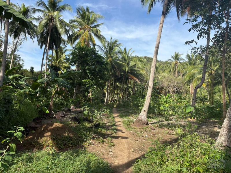 Picture of Commercial Lot for sale in Basay in Negros Oriental