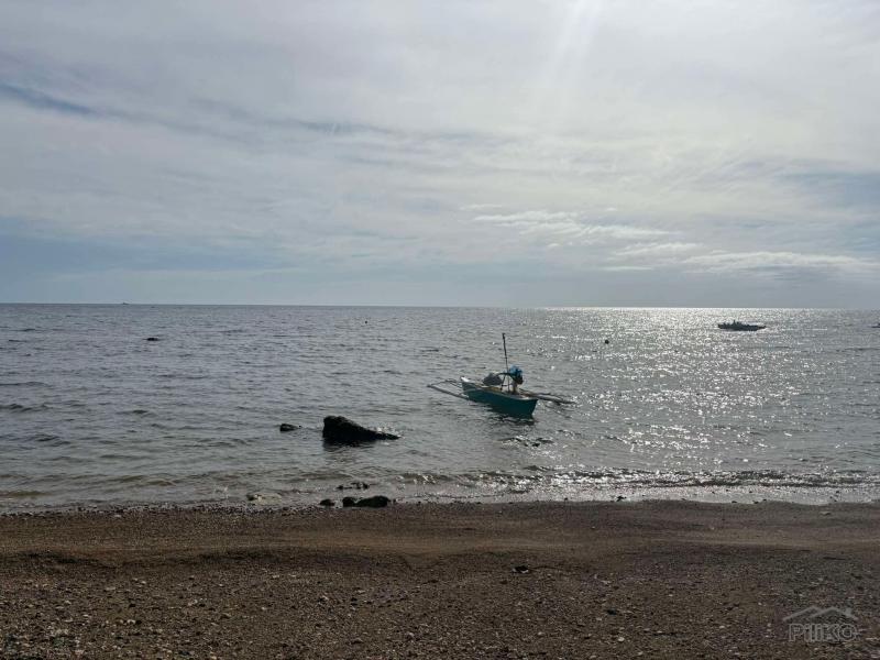 Commercial Lot for sale in Basay in Negros Oriental - image