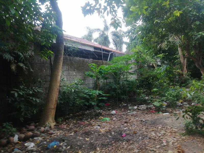 Commercial Lot for sale in Bacong - image 14