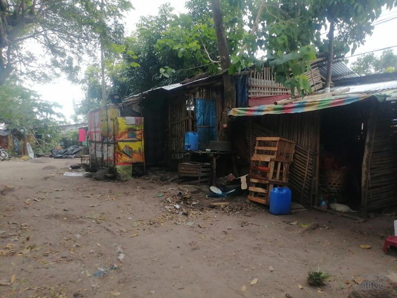 Commercial Lot for sale in Bacong - image 15