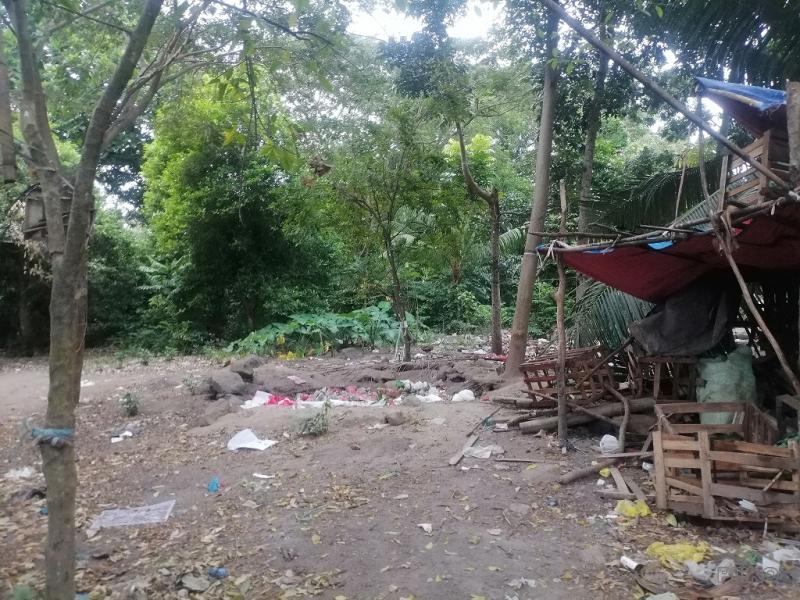 Commercial Lot for sale in Bacong - image 16