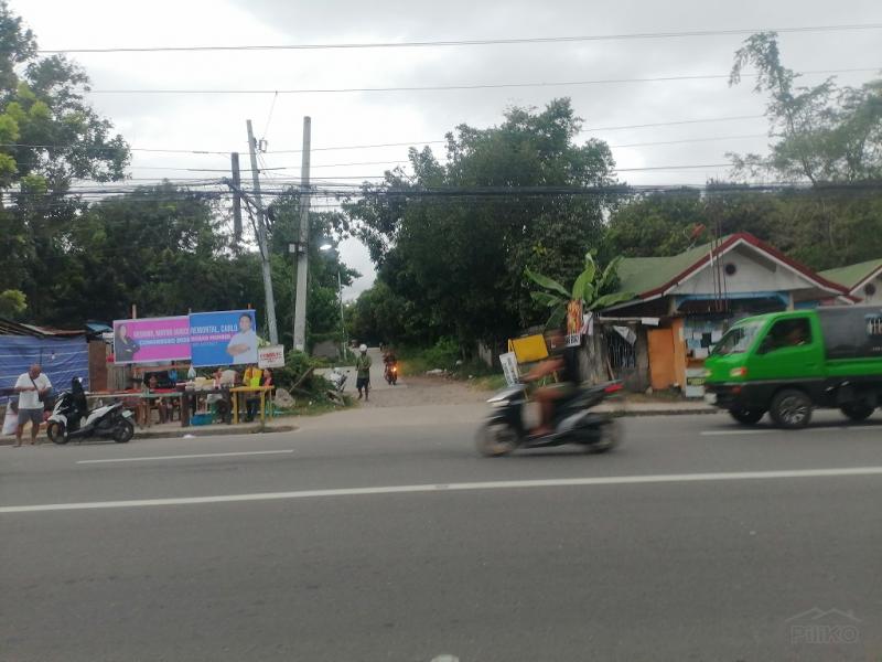 Commercial Lot for sale in Bacong - image 17