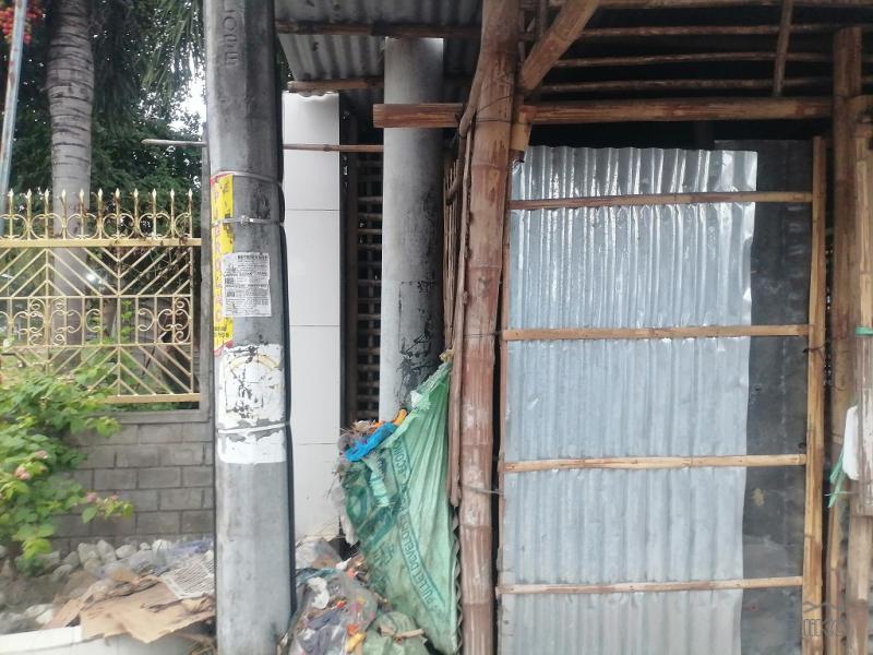 Commercial Lot for sale in Bacong - image 8