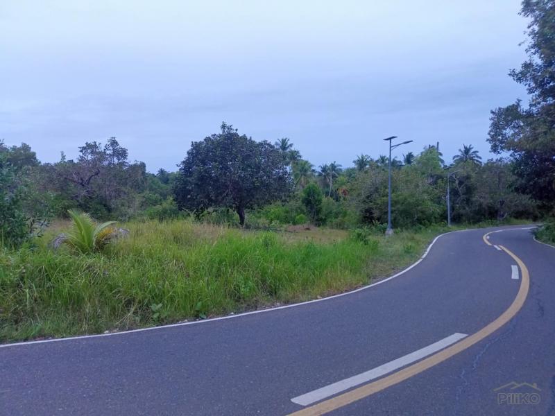 Residential Lot for sale in Maria - image 10
