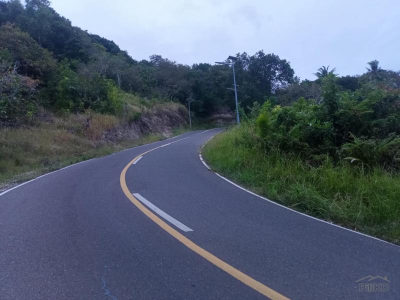 Residential Lot for sale in Maria - image 12