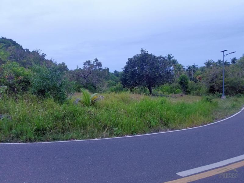 Residential Lot for sale in Maria - image 13