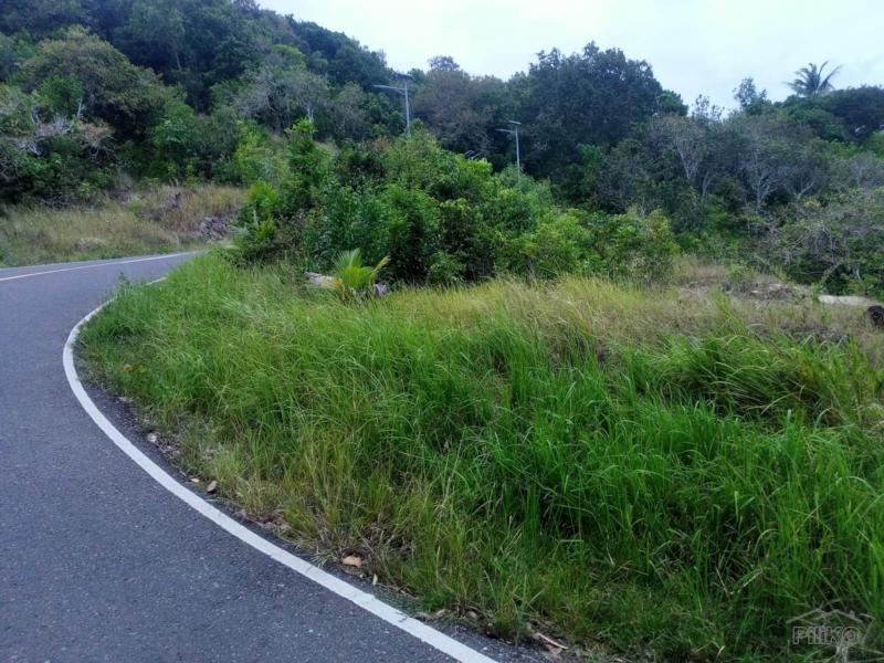 Residential Lot for sale in Maria - image 3