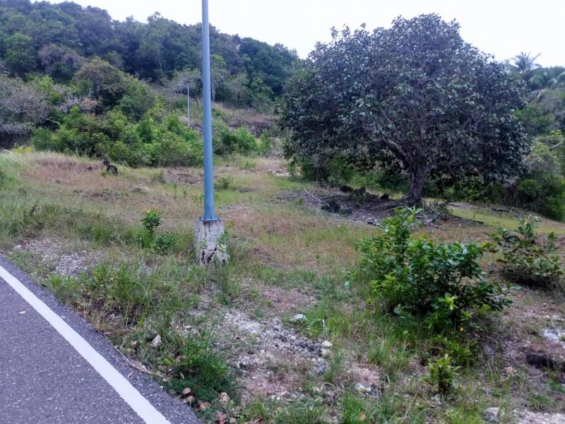 Residential Lot for sale in Maria - image 4