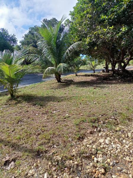 Residential Lot for sale in Maria - image 5