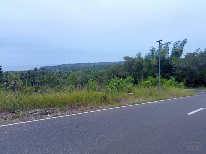 Residential Lot for sale in Maria - image 6