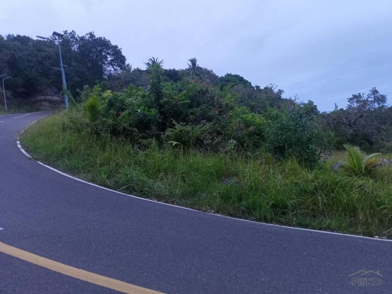 Residential Lot for sale in Maria - image 7